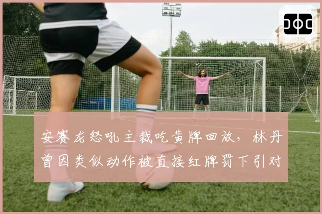 安赛龙怒吼主裁吃黄牌回放，林丹曾因类似动作被直接红牌罚下引对比
