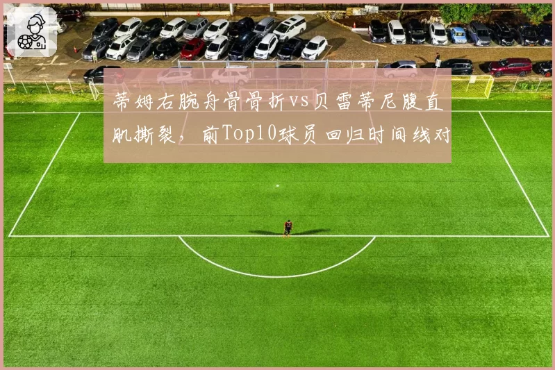 蒂姆右腕舟骨骨折vs贝雷蒂尼腹直肌撕裂，前Top10球员回归时间线对比